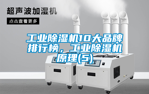 工業(yè)除濕機(jī)10大品牌排行榜,工業(yè)除濕機(jī)原理(5)
