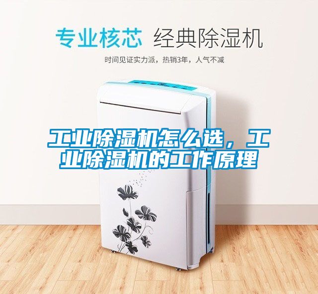 工業除濕機怎么選,工業除濕機的工作原理
