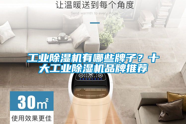 工業(yè)除濕機(jī)有哪些牌子?十大工業(yè)除濕機(jī)品牌推薦