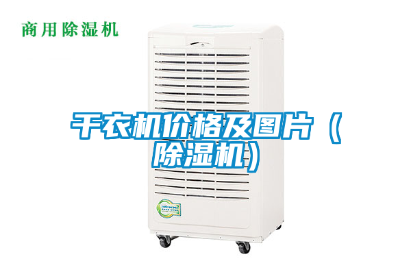 干衣機(jī)價(jià)格及圖片(除濕機(jī))