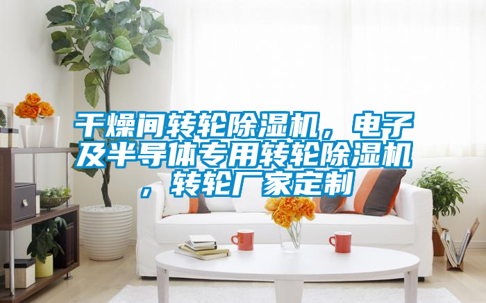 干燥間轉(zhuǎn)輪除濕機(jī),電子及半導(dǎo)體專用轉(zhuǎn)輪除濕機(jī),轉(zhuǎn)輪廠家定制