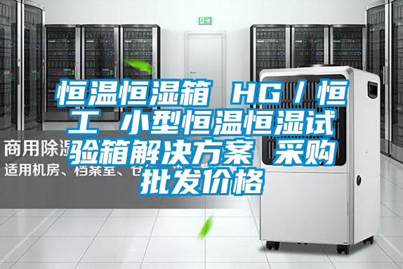 恒溫恒濕箱 HG/恒工 小型恒溫恒濕試驗(yàn)箱解決方案 采購批發(fā)價(jià)格