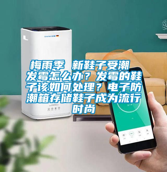 梅雨季 新鞋子受潮 發(fā)霉怎么辦?發(fā)霉的鞋子該如何處理?電子防潮箱存儲鞋子成為流行時尚