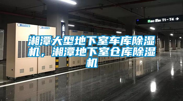 湘潭大型地下室車庫除濕機(jī),湘潭地下室倉庫除濕機(jī)