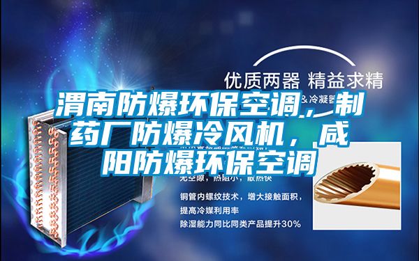 渭南防爆環(huán)保空調(diào),制藥廠防爆冷風(fēng)機(jī),咸陽防爆環(huán)保空調(diào)