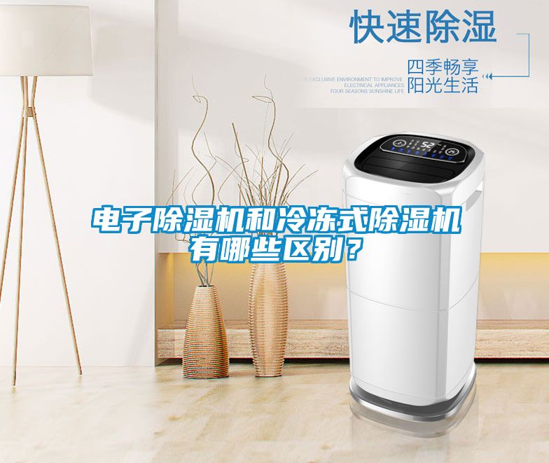 電子除濕機和冷凍式除濕機有哪些區別?