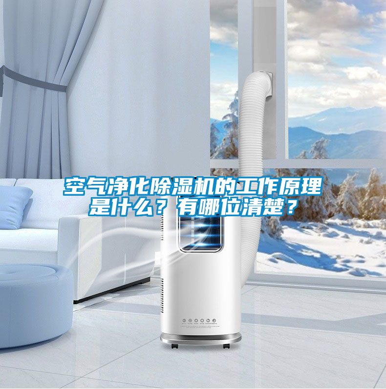 空氣凈化除濕機(jī)的工作原理是什么?有哪位清楚?