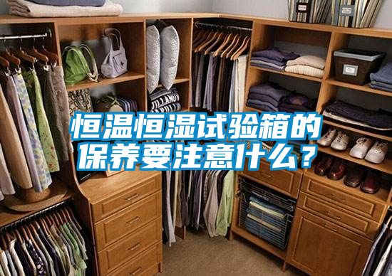 恒溫恒濕試驗箱的保養(yǎng)要注意什么?