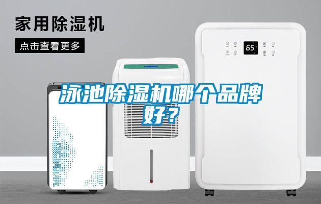 泳池除濕機哪個品牌好?