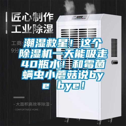 潮濕救星!這個除濕機一天能吸走40瓶水!和霉菌螨蟲小蘑菇說bye bye!