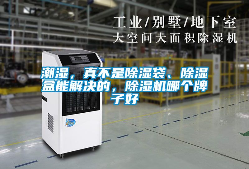 潮濕，真不是除濕袋、除濕盒能解決的，除濕機哪個牌子好