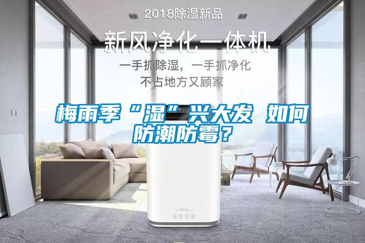 梅雨季“濕”興大發 如何防潮防霉？