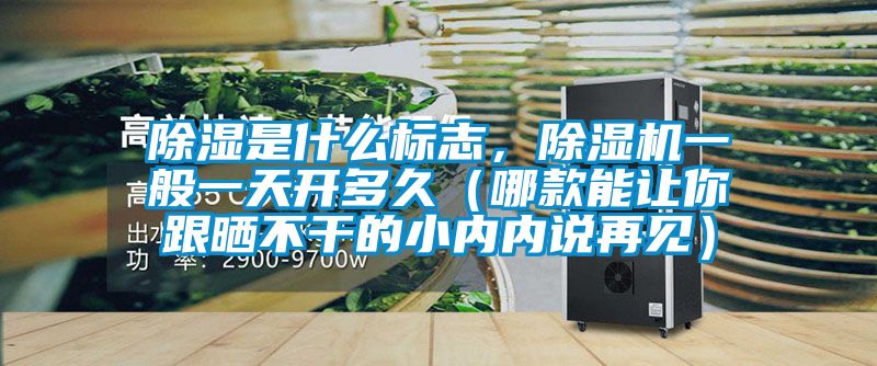 除濕是什么標志,除濕機一般一天開多久(哪款能讓你跟曬不干的小內內說再見)