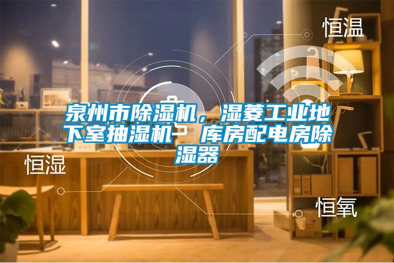 泉州市除濕機,濕菱工業(yè)地下室抽濕機 庫房配電房除濕器