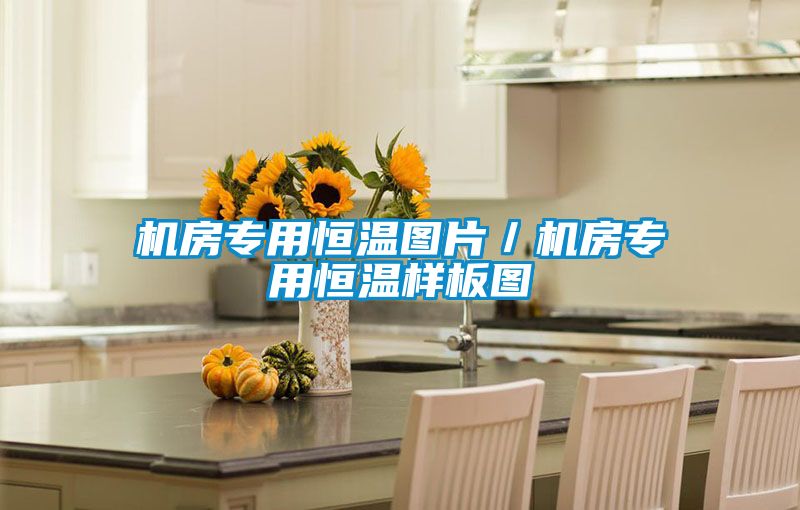 機(jī)房專用恒溫圖片/機(jī)房專用恒溫樣板圖