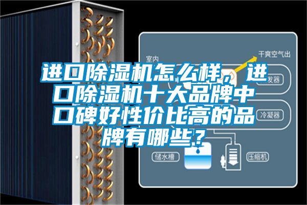 進口除濕機怎么樣，進口除濕機十大品牌中口碑好性價比高的品牌有哪些？