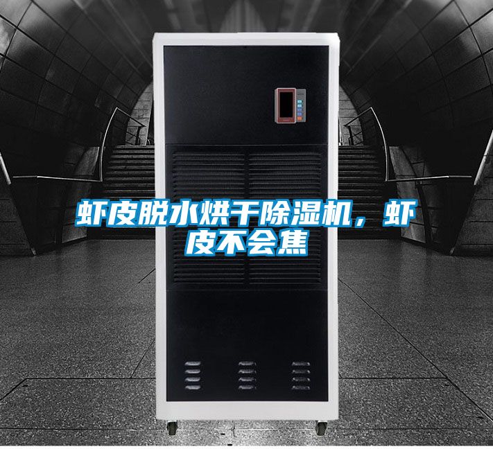 蝦皮脫水烘干除濕機，蝦皮不會焦