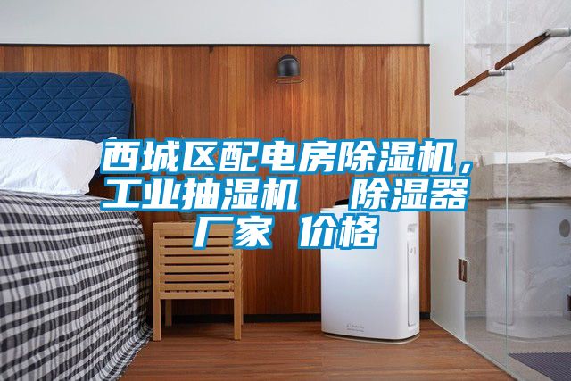 西城區配電房除濕機,工業抽濕機 除濕器廠家 價格