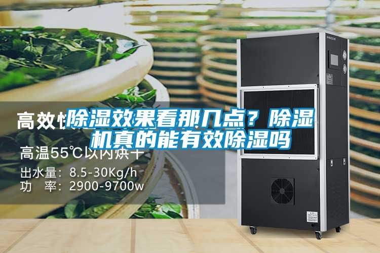 除濕效果看那幾點？除濕機真的能有效除濕嗎