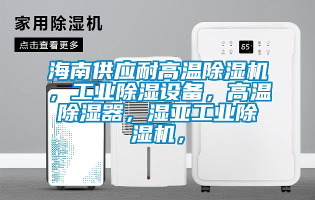 海南供應(yīng)耐高溫除濕機，工業(yè)除濕設(shè)備，高溫除濕器，濕亞工業(yè)除濕機，