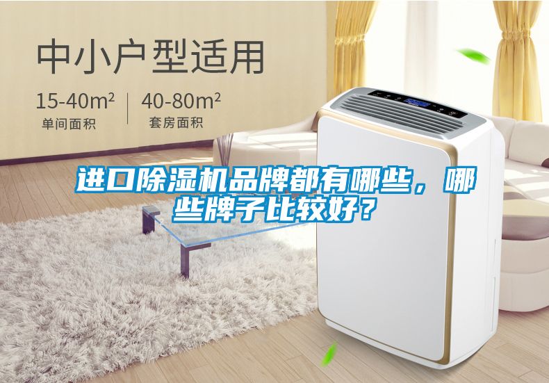 進口除濕機品牌都有哪些，哪些牌子比較好？