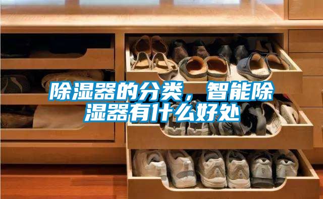 除濕器的分類,智能除濕器有什么好處