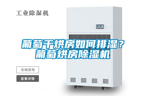 葡萄干烘房如何排濕?葡萄烘房除濕機(jī)