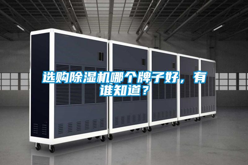 選購(gòu)除濕機(jī)哪個(gè)牌子好,有誰(shuí)知道?