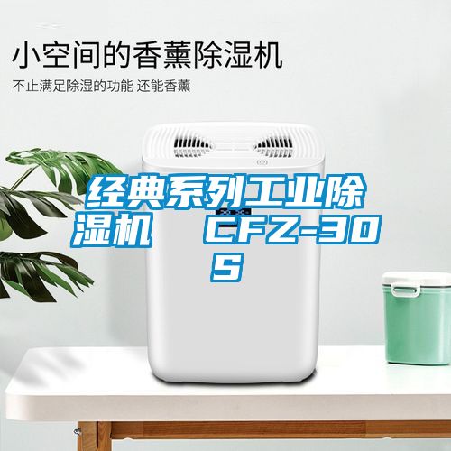 經典系列工業除濕機 CFZ-30S