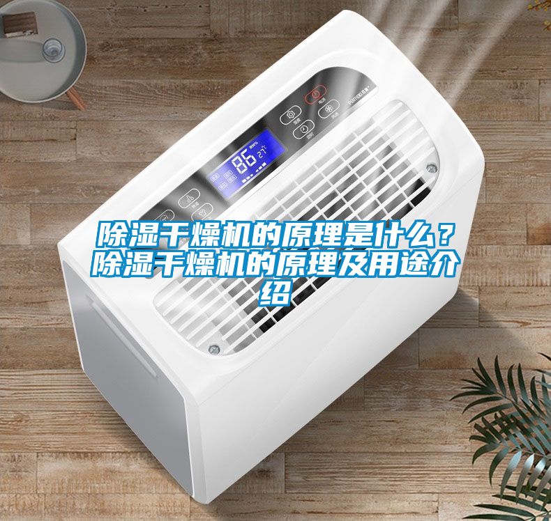 除濕干燥機的原理是什么?除濕干燥機的原理及用途介紹