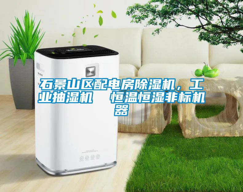 石景山區(qū)配電房除濕機,工業(yè)抽濕機 恒溫恒濕非標機器