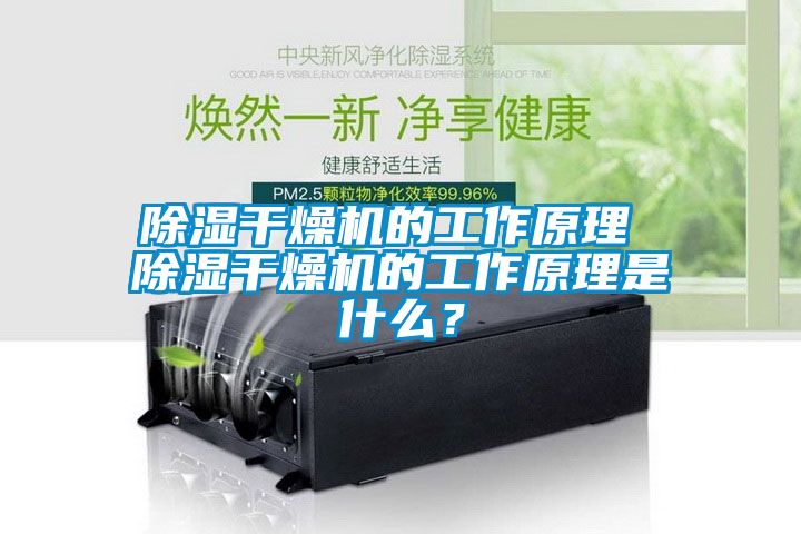 除濕干燥機的工作原理 除濕干燥機的工作原理是什么?