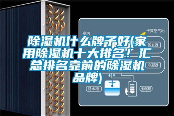 除濕機什么牌子好(家用除濕機十大排名!匯總排名靠前的除濕機品牌)