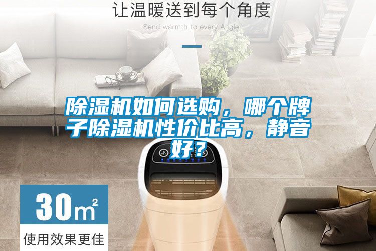 除濕機(jī)如何選購(gòu),哪個(gè)牌子除濕機(jī)性價(jià)比高,靜音好?