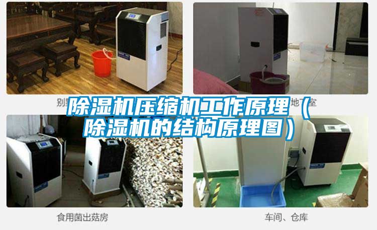 除濕機壓縮機工作原理(除濕機的結構原理圖)