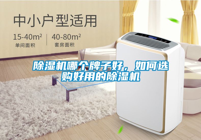 除濕機哪個牌子好,如何選購好用的除濕機