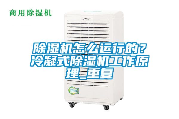 除濕機怎么運行的?冷凝式除濕機工作原理_重復