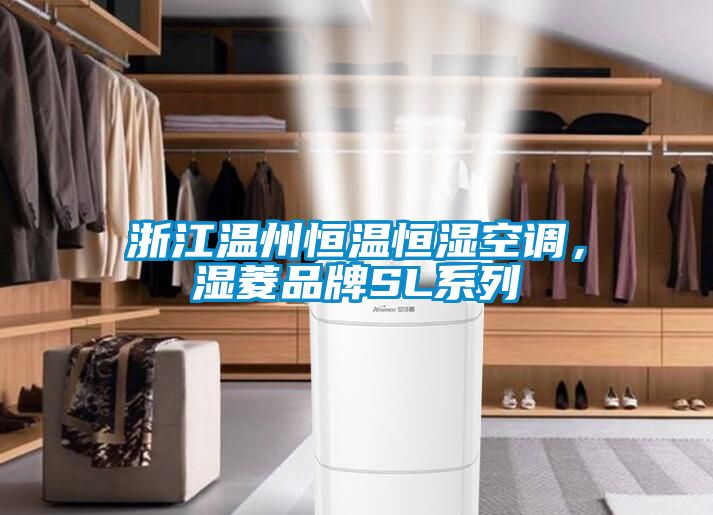 浙江溫州恒溫恒濕空調，濕菱品牌SL系列