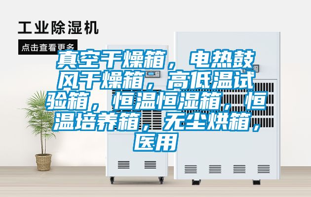 真空干燥箱，電熱鼓風干燥箱，高低溫試驗箱，恒溫恒濕箱，恒溫培養箱，無塵烘箱，醫用