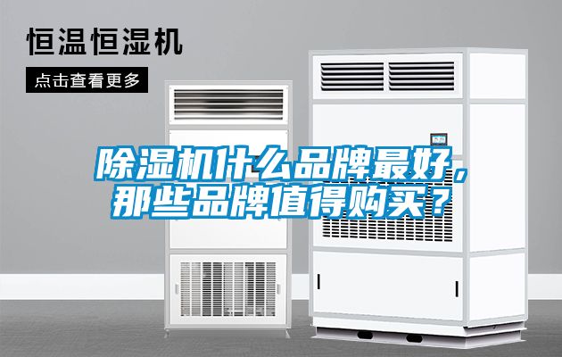 除濕機(jī)什么品牌最好,那些品牌值得購買?