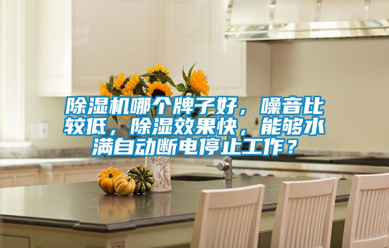 除濕機(jī)哪個(gè)牌子好,噪音比較低,除濕效果快,能夠水滿自動(dòng)斷電停止工作?
