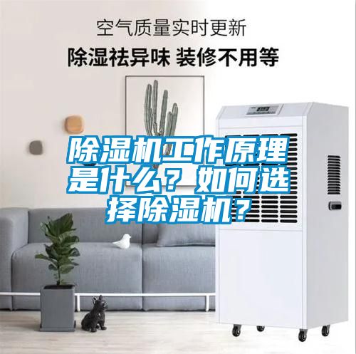 除濕機(jī)工作原理是什么?如何選擇除濕機(jī)?