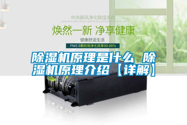 除濕機原理是什么 除濕機原理介紹【詳解】