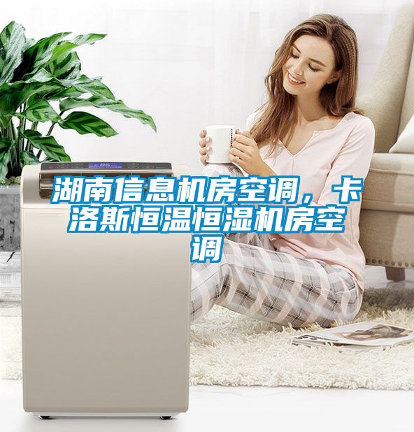 湖南信息機房空調,卡洛斯恒溫恒濕機房空調