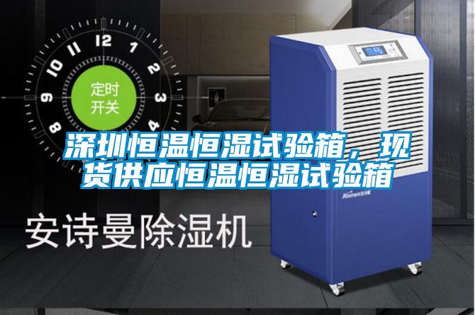 深圳恒溫恒濕試驗(yàn)箱,現(xiàn)貨供應(yīng)恒溫恒濕試驗(yàn)箱