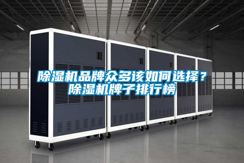 除濕機(jī)品牌眾多該如何選擇?除濕機(jī)牌子排行榜