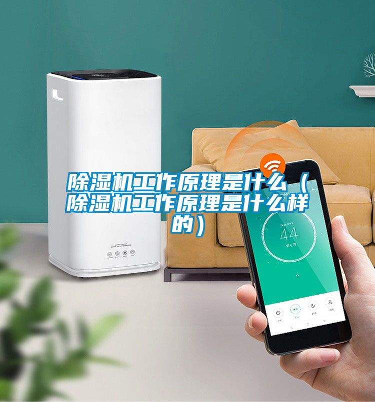除濕機(jī)工作原理是什么(除濕機(jī)工作原理是什么樣的)