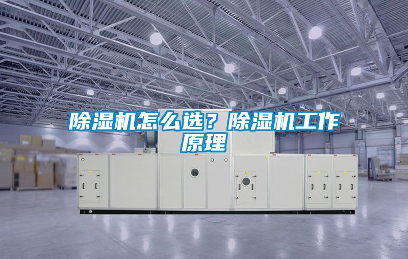 除濕機怎么選?除濕機工作原理