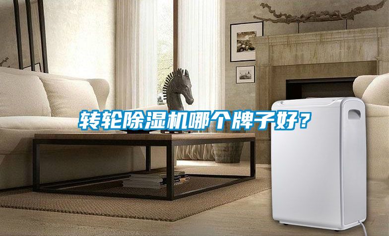 轉輪除濕機哪個牌子好?