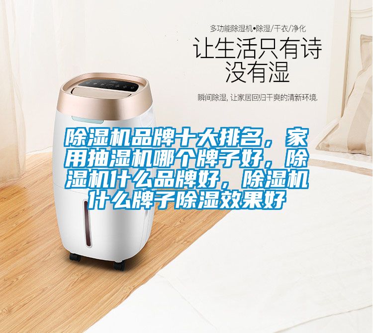 除濕機品牌十大排名,家用抽濕機哪個牌子好,除濕機什么品牌好,除濕機什么牌子除濕效果好
